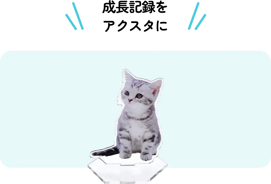 成長記録をアクスタに