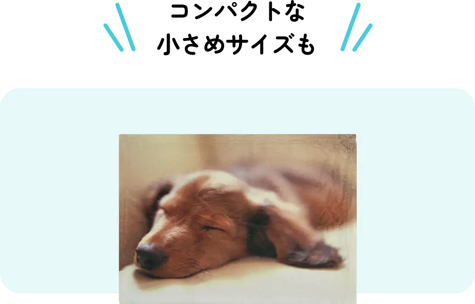 コンパクトな小さめサイズも