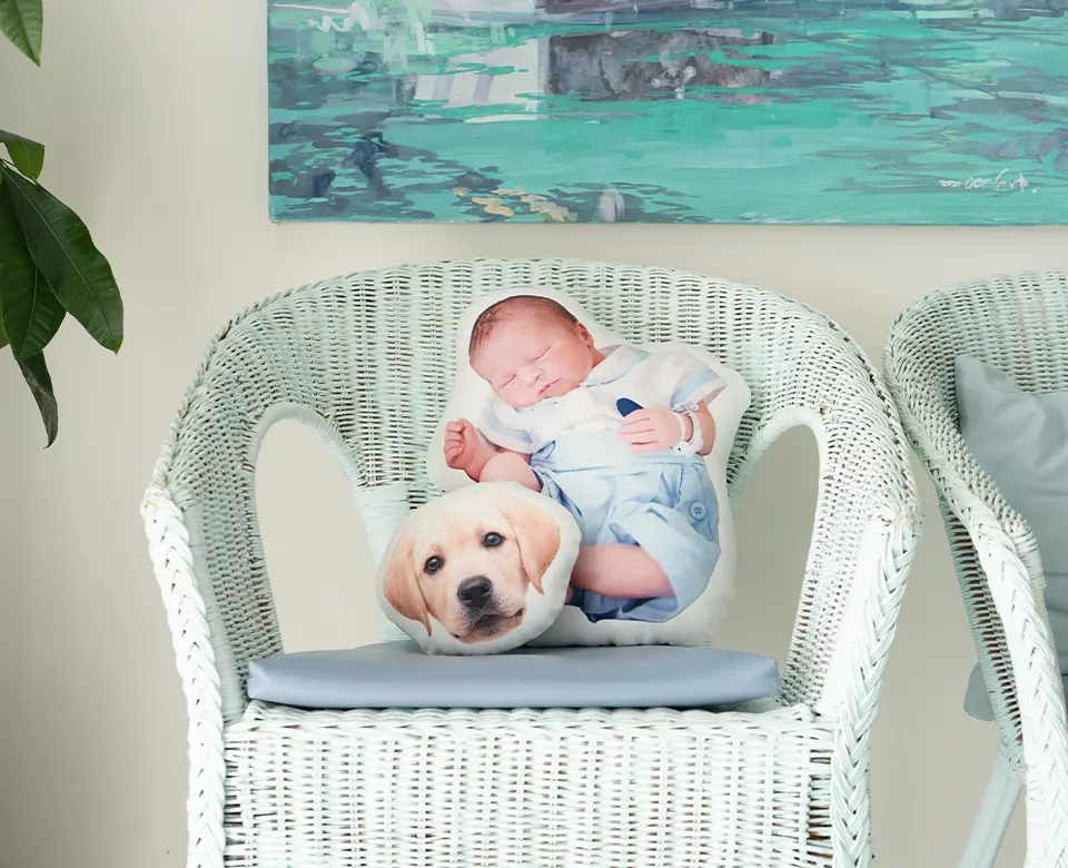 うちの子クッション