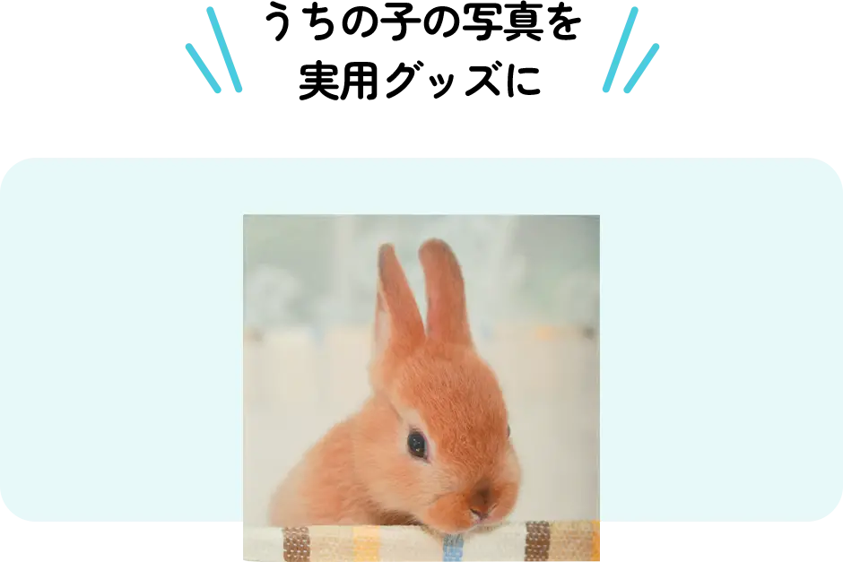 うちの子の写真を実用グッズに