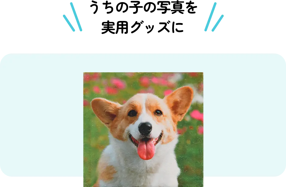 うちの子の写真を実用グッズに